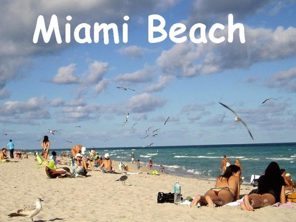 Bikini Lodge (Adults Only) Маями Бийч Стая снимка